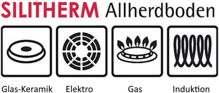 Silit Talis Bratpfanne Induktion 24 Cm, Edelstahl Beschichtet, Keramikbeschichtung, Backofenfest