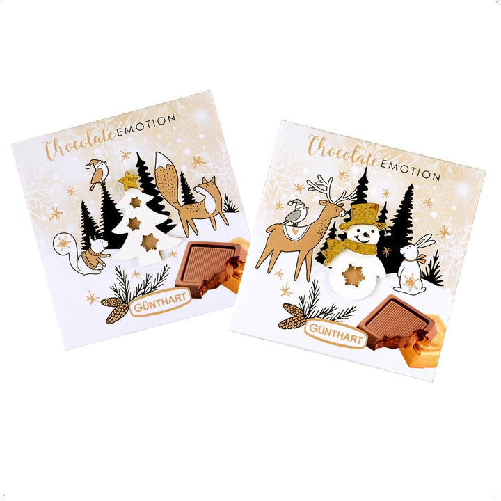 Günthart 16 Stück Pralinen Wintergeschenk Mit Verschiedene Motiven, Präsente Mit Schokolade, 1Er Pack (608 Gr)